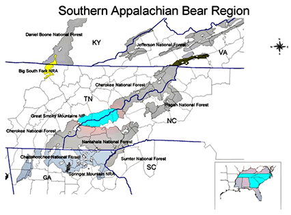 Southern Appalachian Bear Region