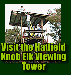 Hatfield Knob Elk Viewing Tower
