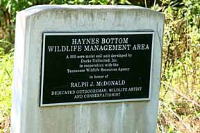 haynes bottom sign