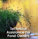 Pond Assistance