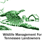 Wildlife Management For Tennessee Landowners