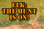 Learn more about the 2009 Elk Hunt